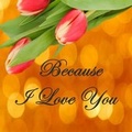 Cover: Because I Love You - Lulu.com