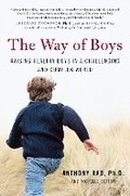 Cover: The Way of Boys - William Morrow