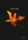 Cover: Into The Light - Lulu.com