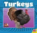 Cover: Turkeys - Av2