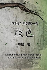 Enlarge image Cover: The Color of Skin (Simplified Chinese Edition) - Solid Software Pty Ltd