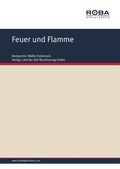 Cover: Feuer und Flamme - Lied der Zeit Musikverlag GmbH