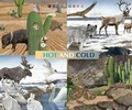 Cover: Hot and Cold - Brighter Child