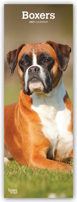 Enlarge image Cover: Boxers 2021 - Brown Trout-Auslieferer Flechsig