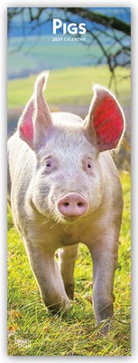 Abbildung von: Pigs - Schweine 2021 - Brown Trout-Auslieferer Flechsig