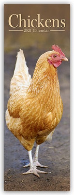 Abbildung von: Chickens - Hühner 2021 - Avonside Publishing Ltd