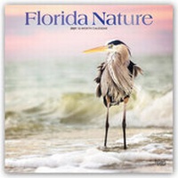 Abbildung von: Florida Nature - Floridas Natur 2021 - 16-Monatskalender - Browntrout Publishers