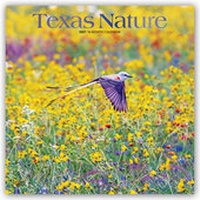 Abbildung von: Texas Nature 2021 - 16-Monatskalender - Browntrout Publishers