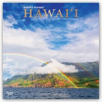 Abbildung von: Hawaii 2021 - 16-Monatskalender - Browntrout Publishers
