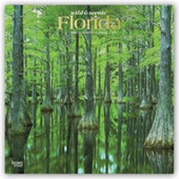 Abbildung von: Florida Wild & Scenic 2021 - 16-Monatskalender - Browntrout Publishers