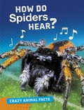 Cover: How Do Spiders Hear? - Raintree