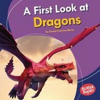 Enlarge image Cover: A First Look at Dragons - Lerner Publishing Group