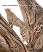 Cover: Living in the Environment - Brooks/Cole