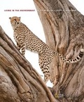 Cover: Living in the Environment - Brooks/Cole