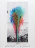 Cover: Charles Gaines: Palm Trees and Other Works - Hauser & Wirth