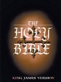 Cover: The Holy Bible - Delhi Open Books