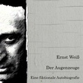 Cover: Der Augenzeuge - Hierax Medien