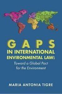 Abbildung von: Gaps in International Environmental Law - Environmental Law Institute
