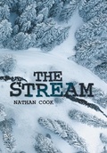 Cover: The Stream - Xlibris Us