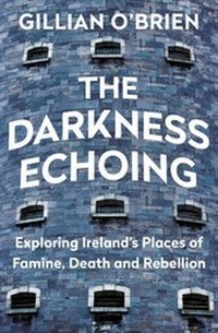 Abbildung von: The Darkness Echoing - Doubleday Ireland
