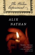 Cover: The Warlow Experiment - Anchor Books