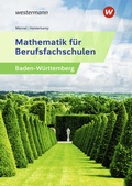 Cover: Mathematik f&uuml;r Berufsfachschulen - Westermann Berufliche Bildung