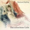 Cover: Das erloschene Licht - Hierax Medien