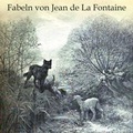 Cover: Fabeln - Hierax Medien