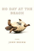 Cover: No Day at the Beach - University of Wisconsin Press