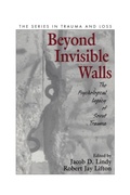 Cover: Beyond Invisible Walls - Routledge