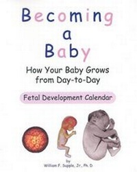 Bild: Becoming a Baby - Picket Fence Pub. Co.