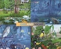 Cover: Night and Day - Brighter Child