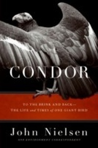 Abbildung von: Condor - HarperCollins e-books