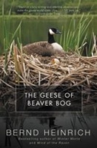 Abbildung von: The Geese of Beaver Bog - Ecco