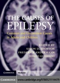 Cover: The Causes of Epilepsy - Cambridge University Press
