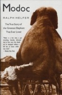 Enlarge image Cover: Modoc - HarperCollins