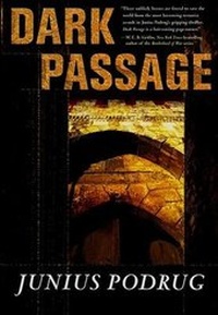 Enlarge image Cover: Dark Passage - Forge