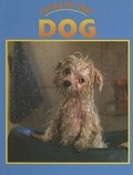 Cover: Caring for Your Dog - Av2 by Weigl