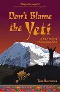 Cover: Don't Blame the Yeti - Lightning