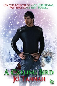 Enlarge image Cover: A Calling Bird - eXtasy Books Inc