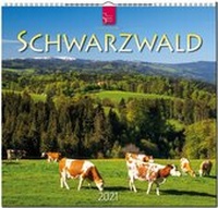 Abbildung von: Schwarzwald - Stürtz