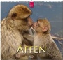 Cover: Affen - Stürtz