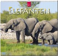 Abbildung von: Elefanten - Stürtz