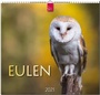 Cover: Eulen - St&uuml;rtz