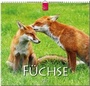 Cover: Füchse - Stürtz