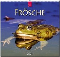 Abbildung von: Frösche - Stürtz