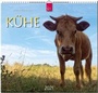 Cover: Kühe - Stürtz