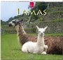Cover: Lamas - Stürtz