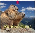 Cover: Murmeltiere - St&uuml;rtz