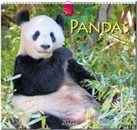 Abbildung von: Pandas - Stürtz